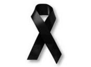 Compa�eros del dolor