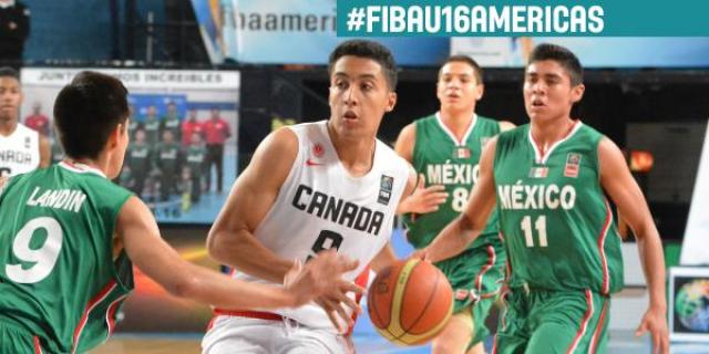 Las incre�bles andanzas del Capitan Zandomeni