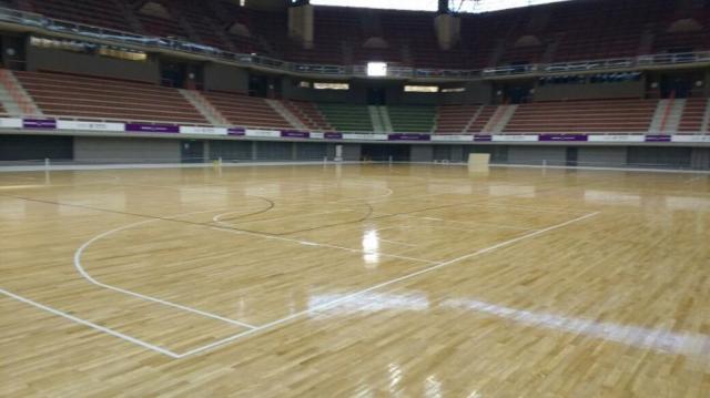 Uni�n est� en marcha para el Mundial