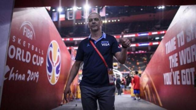 Oveja est� de vuelta