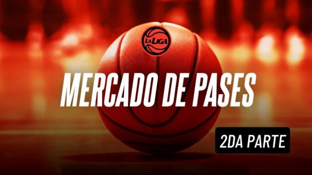 Liga Nacional 24-25: Planteles actualizados - 2� parte