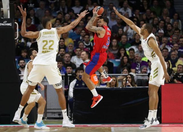 Tortuga de galera y bast�n